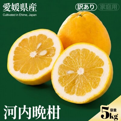 <河内晩柑(訳あり)合計約5kg>NOT FARM 愛媛県 西予市