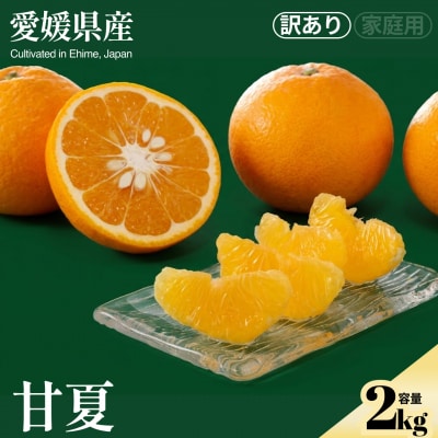 <甘夏(訳あり)合計約2kg>訳アリ わけあり あまなつ さっぱり 酸味 蜜柑