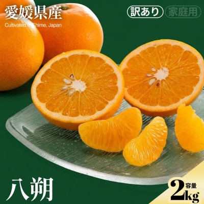 <八朔(訳あり)合計約2kg>　訳アリ わけあり はっさく ほのかな苦み 酸味 蜜柑 ミカン 果汁 