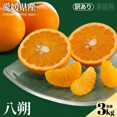 <八朔(訳あり)合計約3kg>　訳アリ わけあり はっさく ほのかな苦み 酸味 蜜柑 ミカン 果汁 