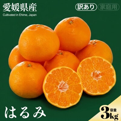 <はるみ(訳あり)合計約3kg>　訳アリ わけあり　プチプチ食感 ジューシー 蜜柑 ミカン 果汁