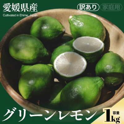 <グリーンレモン 合計約1kg>NOT FARM 愛媛県 西予市
