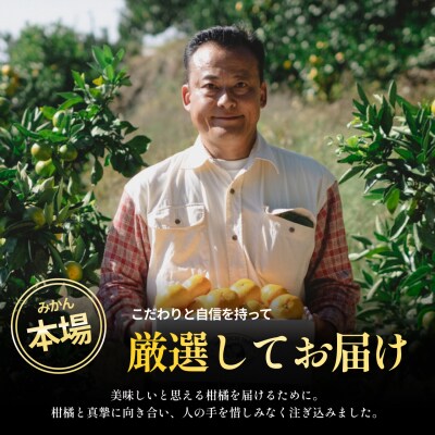 <グリーンレモン 合計約1kg>NOT FARM 愛媛県 西予市