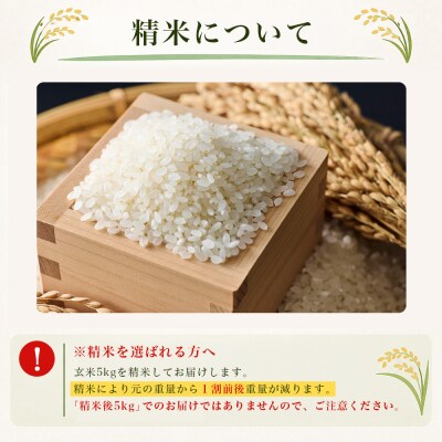 新米 <令和8年産 コシヒカリ「たのすじの恵み」玄米 5kg (精米対応済み)西予市宇和町産>