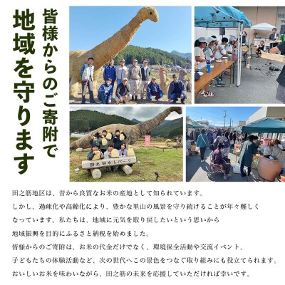 新米(6回定期便) <令和8年産 コシヒカリ「たのすじの恵み」玄米 5kg 西予市宇和町産>