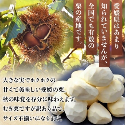 <西予市産 訳ありむき栗&温州みかん 合計約1.6kg>宇都宮物産 