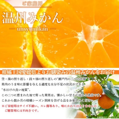 <西予市産 訳ありむき栗&温州みかん 合計約1.6kg>宇都宮物産 