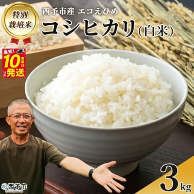 <令和8年産 西予市産 特別栽培米 エコえひめ コシヒカリ 白米 約3kg シゲちゃん農園 >