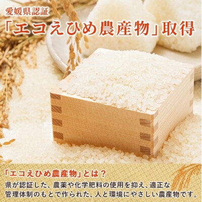 <令和8年産 西予市産 特別栽培米 エコえひめ コシヒカリ 白米 約3kg シゲちゃん農園 >