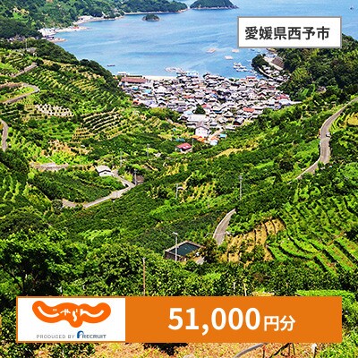 【じゃらんふるさと納税クーポン】 愛媛県西予市でつかえる51,000円 クーポン