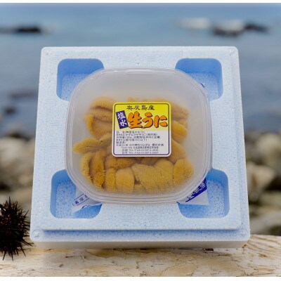 *浜のお母さんからお届け*北海道奥尻産「生うに」100g