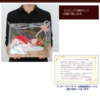 大きなバラのナチュレ　濃レッド