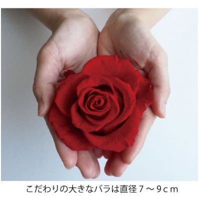 プリザーブドフラワー・幅40cmアレンジ　【ナチュレ　レッドピンク】