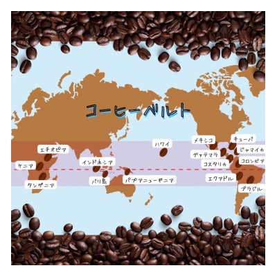 自家焙煎 プレミアム珈琲豆 3種セット(ブルーマウンテンNO.1・エメラルド・アンデス)【豆】