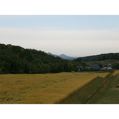 2023年12月発送開始『定期便』「吟米麦酒」山田錦入り　330ml×11本セット全3回