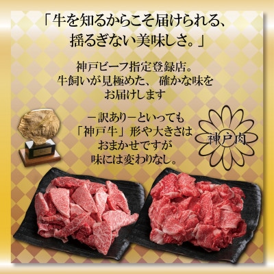【神戸牛(神戸ビーフ)】訳あり切り落とし肉 計800g MKS1-2 【2026年4月より順次発送】