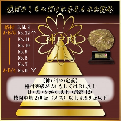 【神戸牛(神戸ビーフ)】訳あり 焼き肉 400g MKY1 【2026年4月より順次発送】