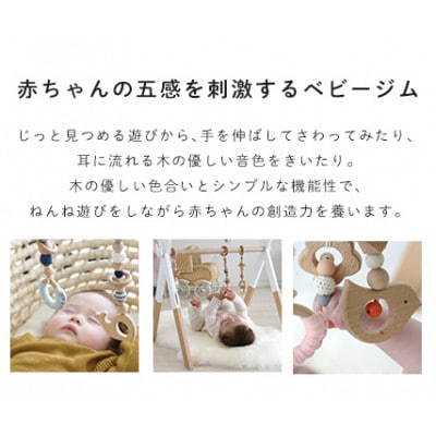 HOPPL(ホップル)amimals ベビージムセット　シーグリーン/マスコット