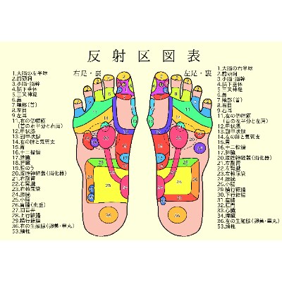ほぐし棒せえらいて