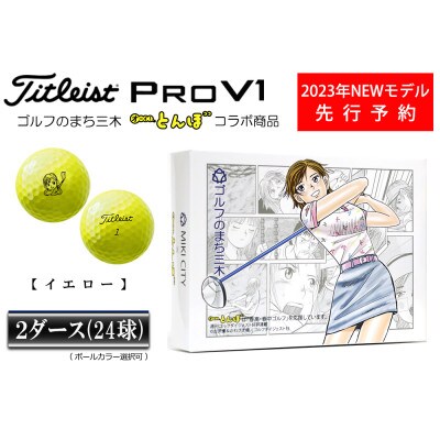 titleist　PRO  V1 YELLOW　　ゴルフボール　２ダースセット