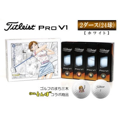 2ダース　タイトリスト　PRO V1 ゴルフボール　2ダース