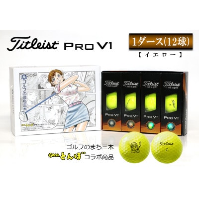 Titleist タイトリスト PROV1 プロV1 イエロー/2ダース 2025年