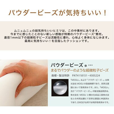 MOGU 気持ちいいクッション Honey(ハニー)