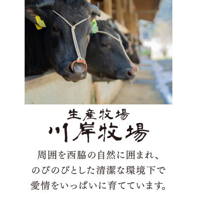 【神戸牛 牝】特上赤身・焼肉用　400g