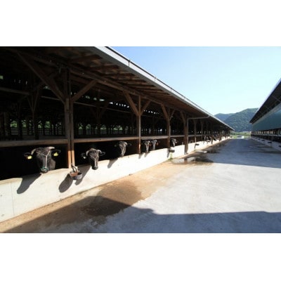 【神戸牛 牝】極厚ミスジステーキ120g×2枚