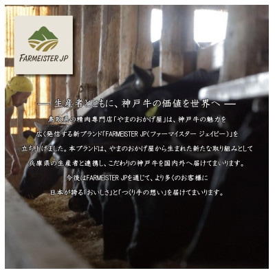 神戸牛リブローススライス500g【うすなが牧場】FU001