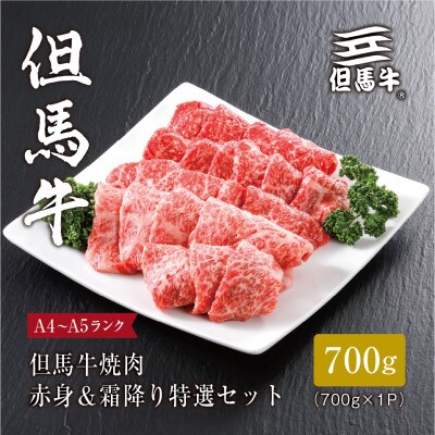 【但馬牛】焼肉 赤身&霜降り 特選セット700gFH03【熨斗付き】