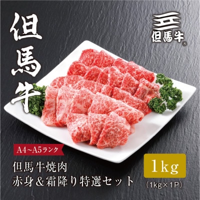 【但馬牛】焼肉 赤身&霜降り 特選セット1kg【1313387】FH04【熨斗付き】