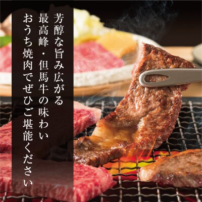 【但馬牛】焼肉 赤身&霜降り 特選セット700g FH03