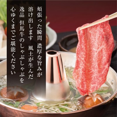 FH10【但馬牛】しゃぶしゃぶ 赤身&霜降り 特選セット1kg【1313390】