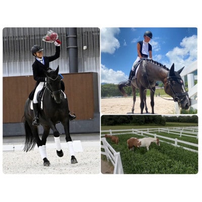 馬匹の預託・トレーニングチケット(3.0万円分)※利用するには会員になる必要があります。