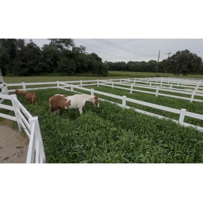 馬匹の預託・トレーニングチケット(1.5万円分)※利用するには会員になる必要があります。