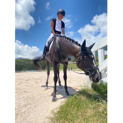 馬匹の預託・トレーニングチケット(1.5万円分)※利用するには会員になる必要があります。