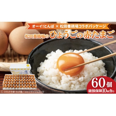 産地直送 松田養鶏場のひょうごの赤たまご60個(50個+割れ補償10個)