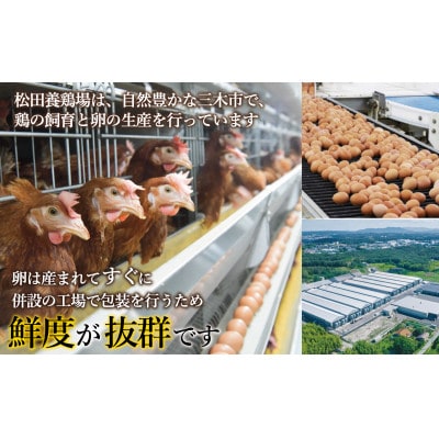 産地直送 松田養鶏場のひょうごの赤たまご60個(50個+割れ補償10個)