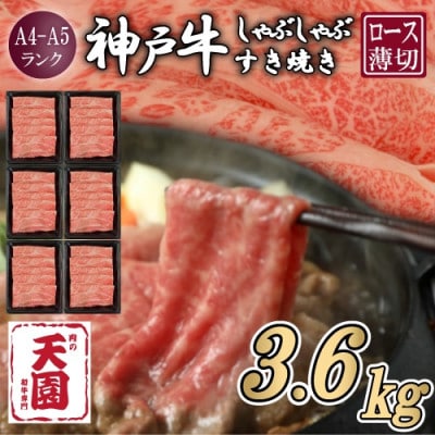 【毎月定期便】【ふるさと納税】神戸牛 霜降り 肩ロース しゃぶしゃぶすき焼き 600g×全6回
