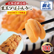 【2023年3～7月発送】網走産 生エゾばふんうに 冷蔵100g(板折)【期間限定】