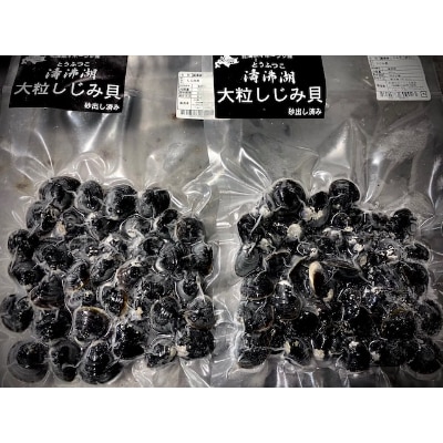 濤沸湖産 大粒しじみ貝(砂出し済み) 400g×2 ＜網走加工＞