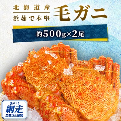 【数量限定】北海道産　浜茹で本堅　毛ガニ　約500g×2尾(冷凍)