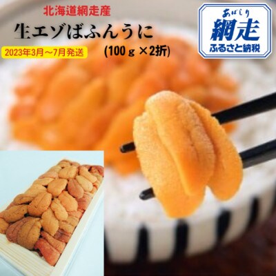 【2024年3～7月発送】網走産 生エゾばふんうに 冷蔵100g×2パック(板折)【期間限定】