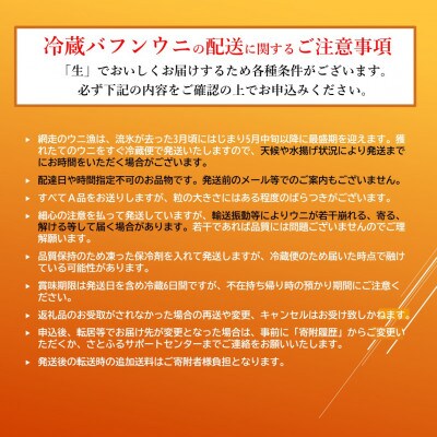 【2024年3～7月発送】網走産 生エゾばふんうに 冷蔵100g×2パック(板折)【期間限定】