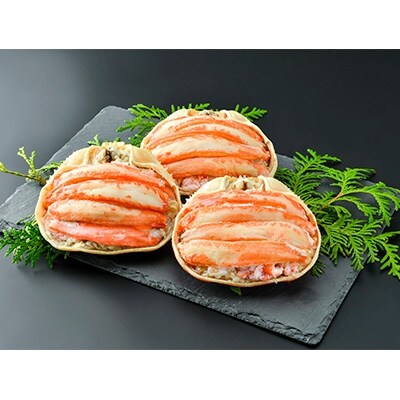 【網走前浜産】特製本ズワイガニ甲羅盛 3個 (カニ肉120g×3)