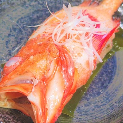 <網走産>高級ブランド≪活〆釣きんき≫【約500g×6尾】