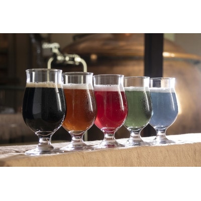 網走ビール【彩り5種(330ml)×12本】セット 【クラフトビール】