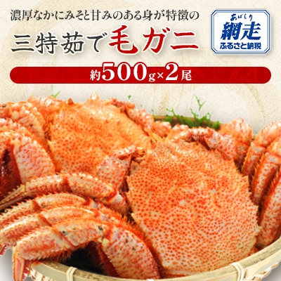 三特茹で毛ガニ　約500g×2尾　<網走産>
