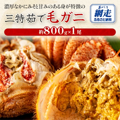三特茹で毛ガニ　約800g×1尾　<網走産>